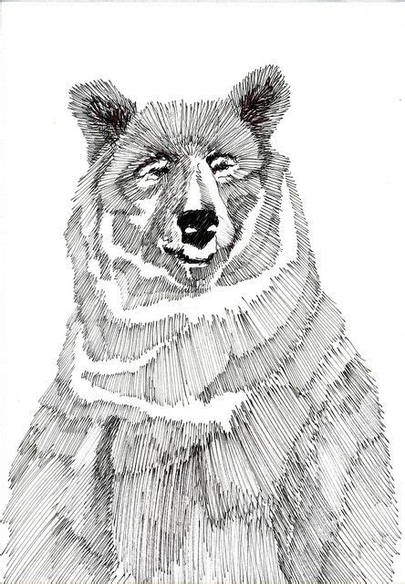 Check spelling or type a new query. Pin by Paul Genberg on |art| | Bear art, Bear illustration ...