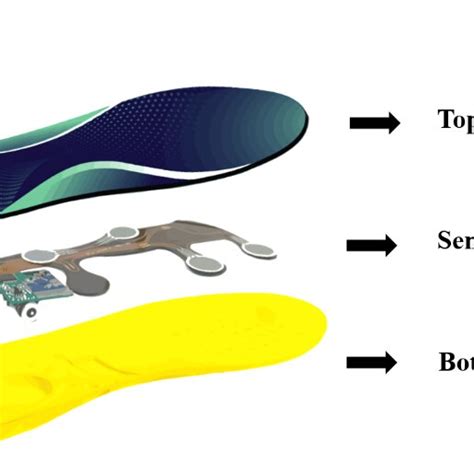 The Smart Insole Layer And Locations Of Sensing Points Download