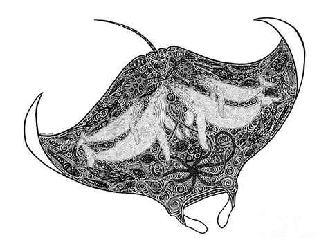 Eagle rays feed on mollusks and crustaceans, crushing their shells with their flattened teeth. Tribal Manta Drawing by Carol Lynne