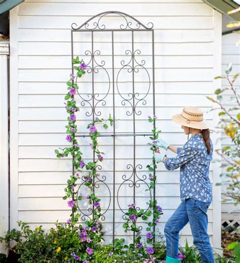 Our Montebello Tall Trellis Is Designed To Coordinate With Our