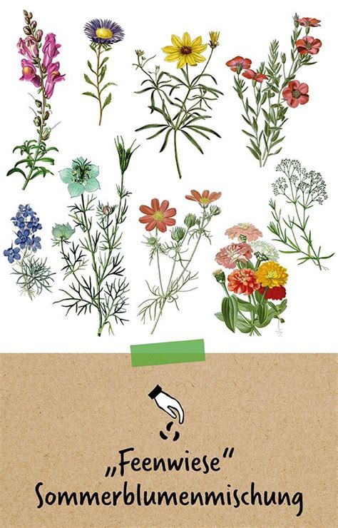 Maybe you would like to learn more about one of these? Pin von Ramona auf garten (mit Bildern) | Sommerblumen ...