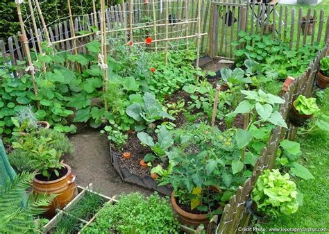 Conseils D Arthur Pour L Arrosage Plan Potager Potager Bio Home Grown Vegetables Veggies