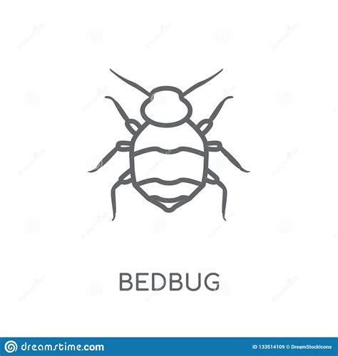 Bedbug Linear Icon. Modern Outline Bedbug Logo Concept On White Stock ...