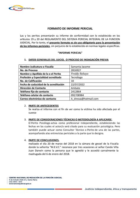 Modelo De Informe Pericial Docx Document