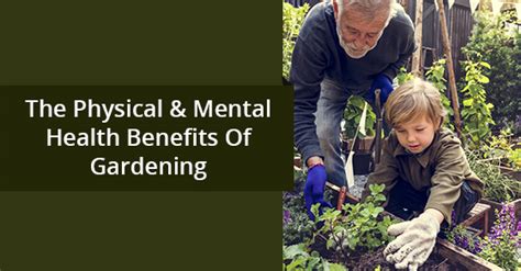 Tend To Your Garden The Physical And Mental Health Benefits