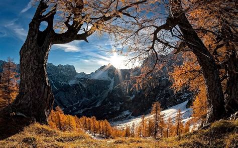 Landscape Nature Mountain Sunrise Forest Snowy Peak Grass Trees Fall