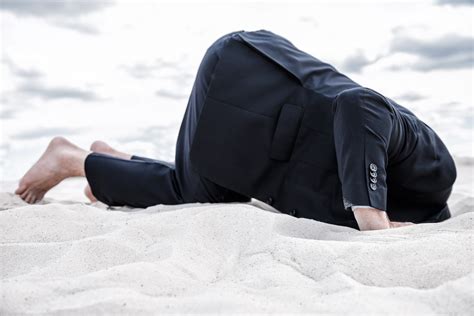 Tax Agents And Privacy Dont Stick Your Head In The Sand