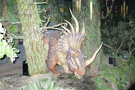 Styracosaurus Dinoworld Usa Jurassic Park Fanon Wiki Fandom