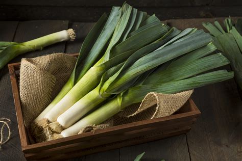 Poireau saison fondue ou gratin blanc ou vert de poireau