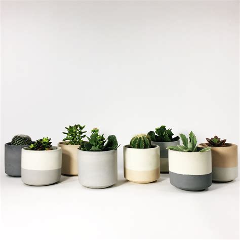 Settlewell Modern Planters And Home Goods