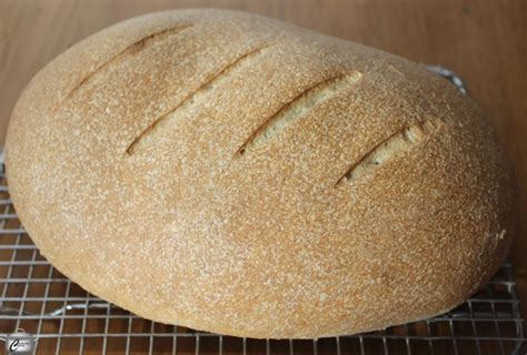 If you try this cornbread, with a few suggestions, you will never make another cornbread recipe. HomestyleCornflourbreadwatermarked in 2020 | Bread, Rustic ...