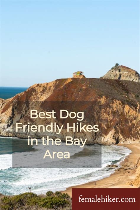 Best Dog Friendly Hikes And Trails In The San Francisco Bay Area Bay