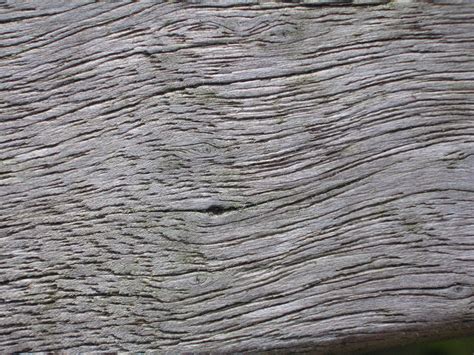 Free Photo Weathered Wood Texture Bark Cracked Dry Free Download Jooinn