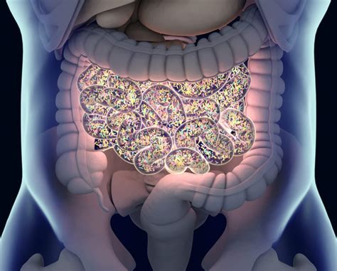 You can now process to what is my sexuality quiz. Colorectal Cancer and the Gut Microbiome: What Are the ...