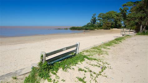 Find unique places to stay with local hosts in 191 countries. Ferrando Beach in Colonia del Sacramento, | Expedia.ca