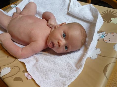 Bath Time 002 Mylo At 5 Weeks KATHRYN MCCLUSKIE Flickr