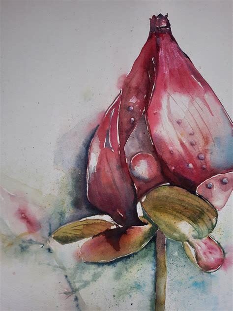 Watercolour Aquarel 30x40 Cm Water Colors Tulips Funny Painting