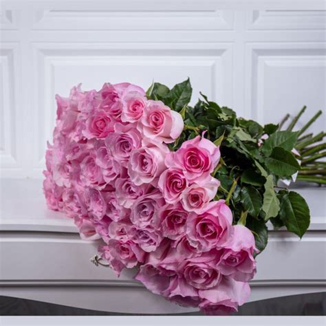 Букет из 51 розы 100 см Rose Christa купить в Алматы Казахстане