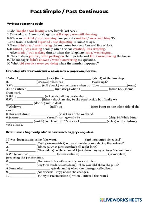 The Past Simple Past Continuous Tense Worksheet