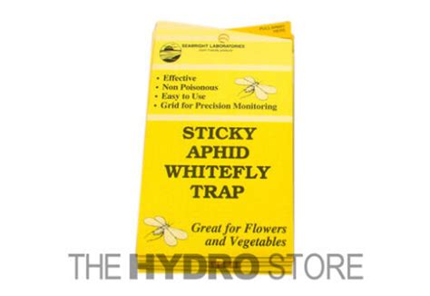 Yellow Sticky Whitefly Traps 5 Pack White Fly Aphid Fruit House Plant