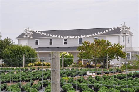 Amish Garden Stores » Amish365.com