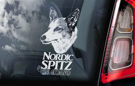 Nordic Spitz On Board Car Window Sticker Norrbottenspets Etsy Car