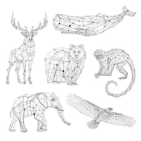 Geometric Animal Drawing At Explore Collection Of