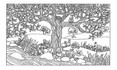 25++ Free nature coloring pages for adults ideas in 2021
