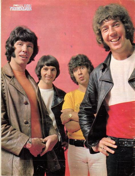 The Tremeloes Rock N Roll Music Uk Music Disco Music