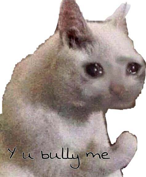 Y U Bully Me Cat Sad Cat Meme Freetoedit