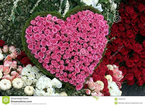 Red Rose Heart Shape Royalty Free Stock Images Image