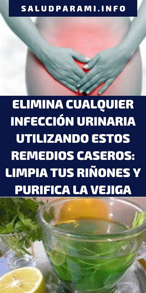 Elimina Cualquier Infección Urinaria Utilizando Estos Remedios Caseros