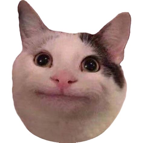 Crying Cat Meme Png