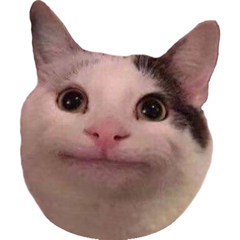 Crying Cat Meme PNG Isolated Pic PNG Mart