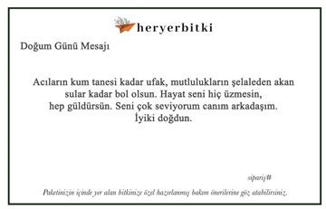 Arkadaşa, Sevgiliye Doğum Günü Mesajı 2023 - Heryerbitki