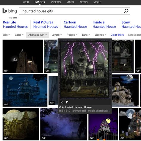 Microsoft Enables Animated  Search On Bing