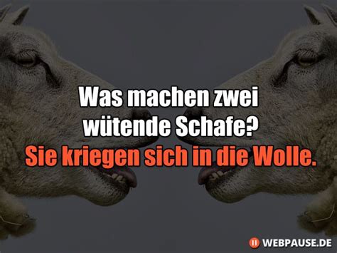 We did not find results for: 15 Kurze Anti-Witze und Sprüche, die zum Totlachen sind ...