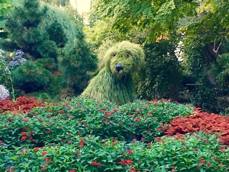 But since it was night time, it was more about the lights than the gardens. Shaggy Dog @ Atlanta Botanical Garden | Atlanta botanical ...