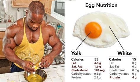 What You Need To Know About Eggs And Egg Protein All