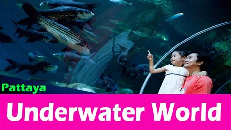 Underwater World Pattaya Thailand ทำความรู้จักกับโลกใบนี้ दुनिया