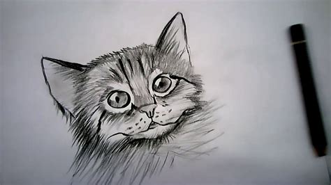 Como Dibujar Un Gato En 13 Pasos Realismo How To Draw A Cat In 13