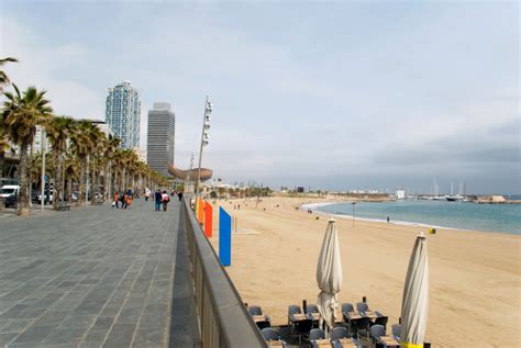 See reviews and photos of beaches in barcelona, spain on tripadvisor. A local's guide to Barcelona | The Travel Blog by ...