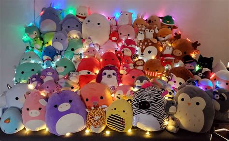 Huge Squishmallow Lot Of 19 Plushies All Are Bnwt Munimorogobpe