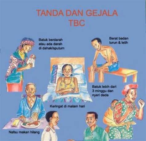 Kenali Tipe Tuberkulosis Penyakit Menular Ke Paling Mematikan Semua Halaman Grid Health