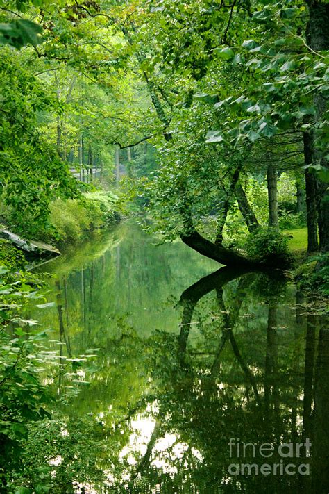 Summer Stream Photograph By Melissa Petrey Fine Art America