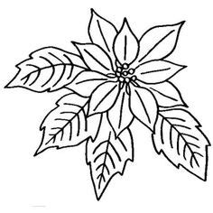 Poinsettias change color in response to shorter winter days. 9 Best Poinsettia ideas | poinsettia, poinsettia flower ...