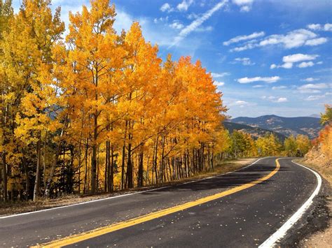 Hd Autumn Road Trees Nature Gallery Wallpaper Download Free 141444