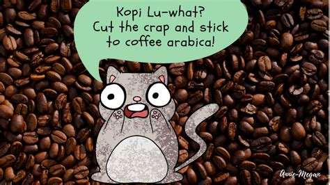 Unusual animals animals wild cute animals mammals animals weird animals madagascar animals rare animals interesting animals. Kopi Luwak -- coffee made exotic by Civets | Research Matters