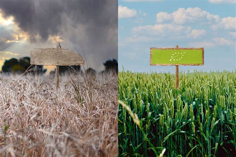 Agricoltura Biologica Normativa e Sanzioni