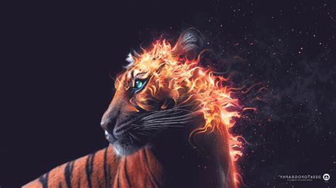 Desktopography Fire Artwork Animals Digital Art Tiger Wallpapers